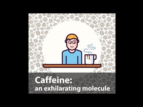 Caffeine the exhilarating molecule