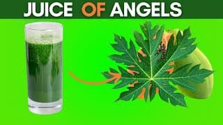 8 Incredible Health Benefits of Papaya Leaves Juice