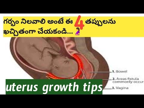 గర్భం ధరించడానికి మీరు చేసే ఈ పనులు అడ్డు పడతాయి/uterus growth tips Telugu#pregnancy