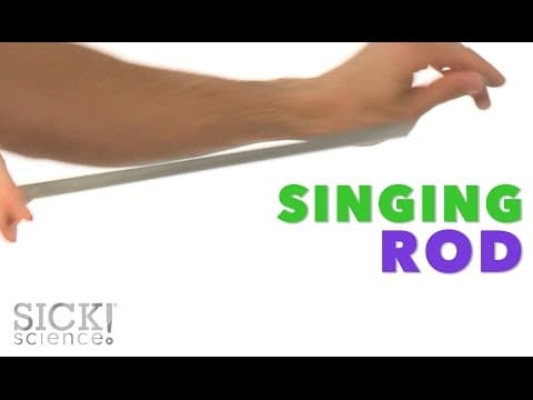Singing Rod - Sick Science