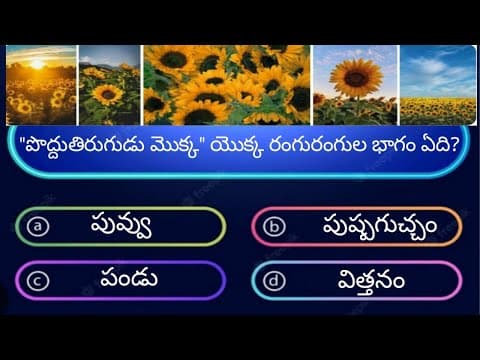 BK Quiz // Telugu Quiz // General knowledge questions // Interesting questions