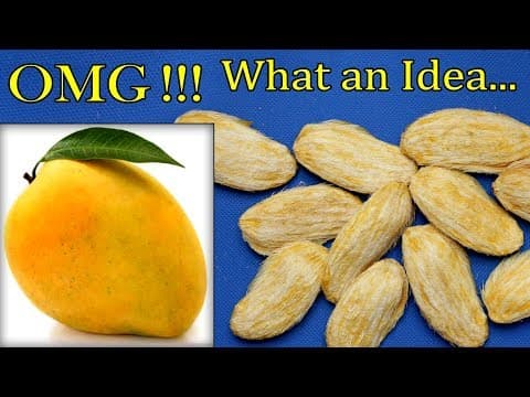 Best out of waste idea || Reuse mango seed shell || Wall hanging