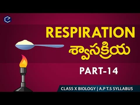 Human respiratory system 14 in English & Telugu  -  AP&TS 10th biology  -  Eduscope 10th science videos
