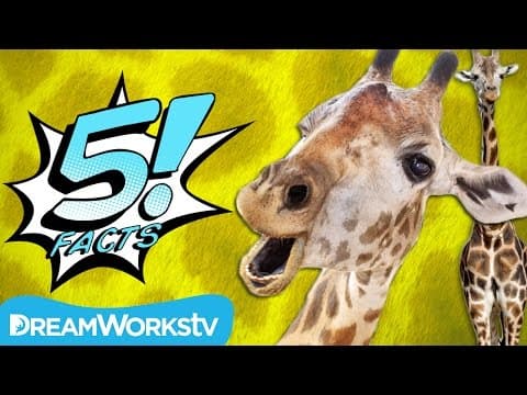 5 Tall Facts About GIRAFFES | 5 FACTS