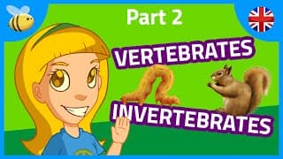 Vertebrates and Invertebrates Animals Kids Videos