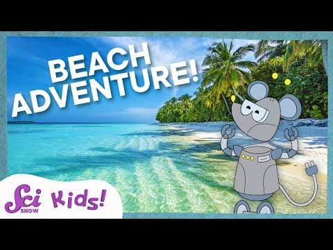 Using Our Senses to Explore the Beach! | Science at the Beach