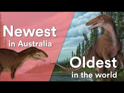 Gems of the Andes|The Ecuadorian Hillstar and Longuemare Sunangel hummingbirds