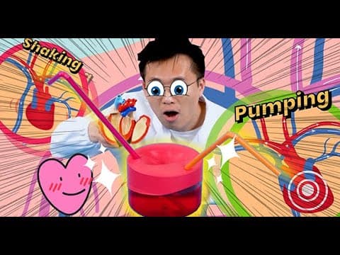 Make A DIY Heart Model | Human Body | Experiment | Arts & Crafts | Science For Kids