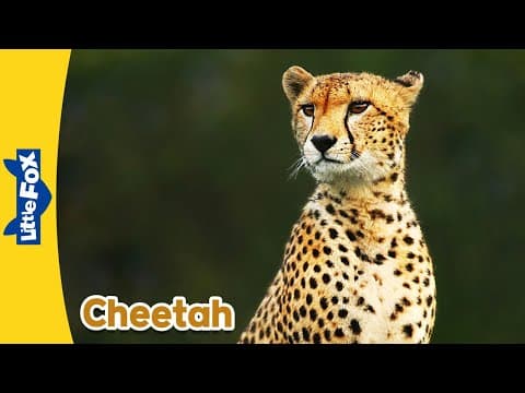 Meet the Animals-Cheetah-Wild Animals-Stories for Kindergarten