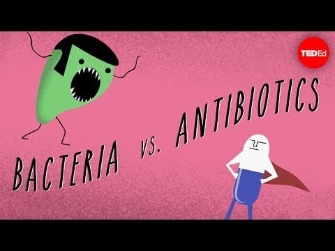 What causes antibiotic resistance? - Kevin Wu - YouTube