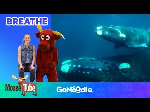 Whale Breath Meditation For Kids |GoNoodle