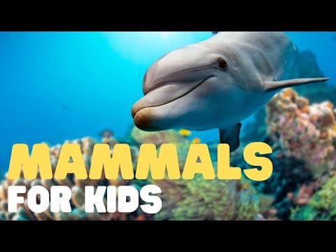 Mammals for kids - learn all about the unique characteristics of mammals and what mammals are!