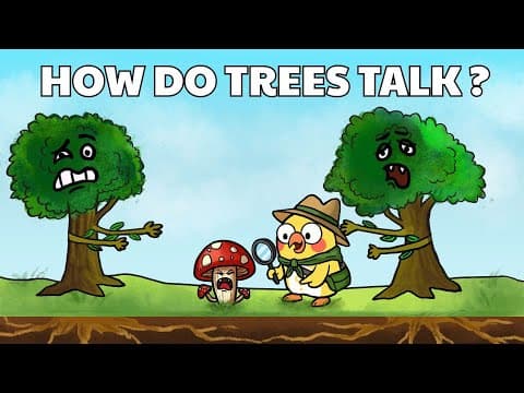 Why Trees Have a Secret Communication Network