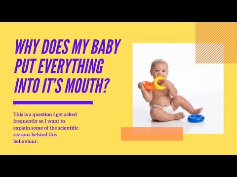 Why do babies put everything in their mouth | The Sensory Class