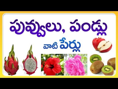 Learn about fruits & flowers
