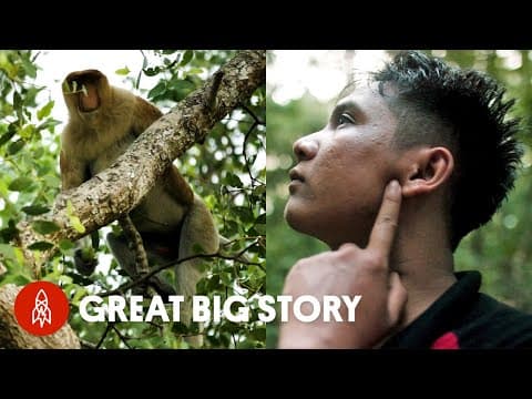 Eavesdropping on orangutans