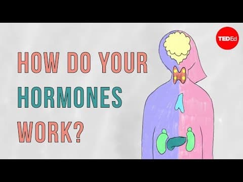 How do your hormones work? - Emma Bryce - YouTube