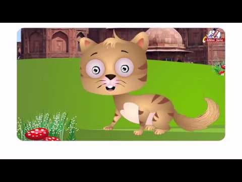 Bhilli gayi delhi hindi rhymes for kids