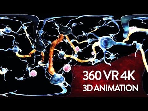360 VR Video - Central Nervous System - Inside Human Body