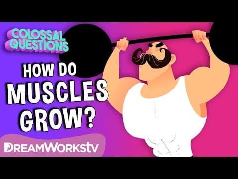 How Do 💪Muscles Grow? | COLOSSAL QUESTIONS