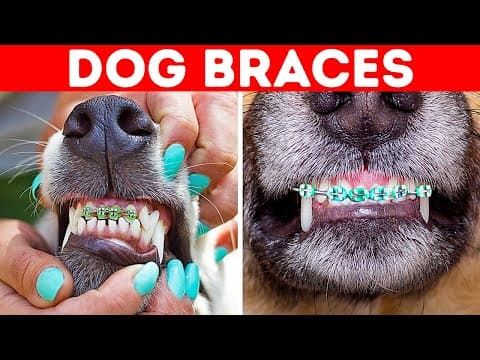 33 Awesome Facts You Didn't Know 5 Minutes Ago