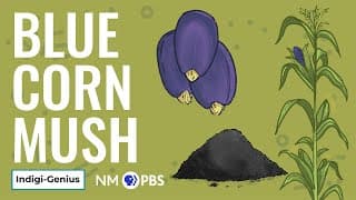 The science of Blue Corn Mush, a classic indigenous recipe -