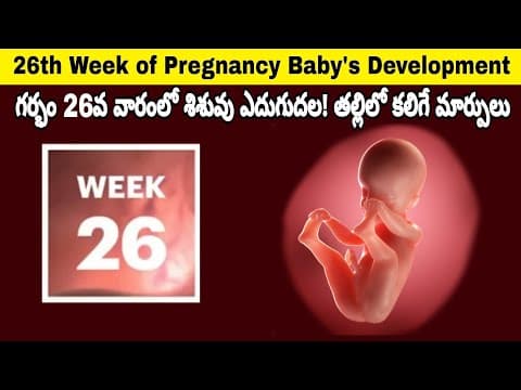 26th Week of Pregnancy Symptoms, Changes & Baby Development | 26th Week of Pregnancy in telugu