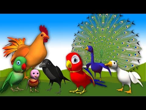 Burru pitta chitti , chilakamma - animated rhmyes for kids