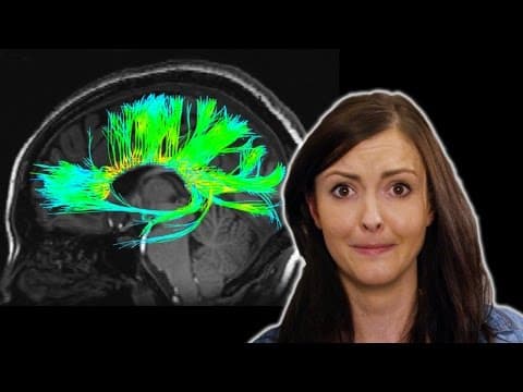 4 Odd Things We've Seen in Your Brain