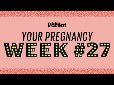 Your pregnancy: 27 weeks