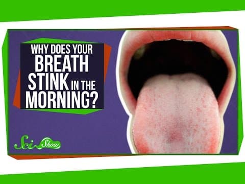 Why Does Your Breath Stink in the Morning?