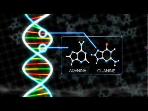 NASA | DNA Building Blocks Can Be Made in Space - YouTube