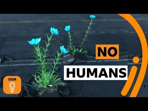 What would a world without humans be like? | BBC Ideas