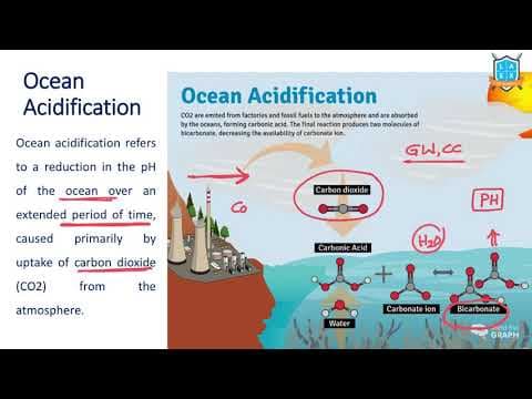 What is Ocean Acidification ? || Ocean Acidification అంటే ఏమిటి?