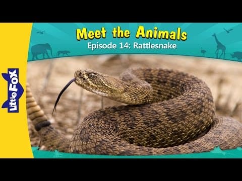 Meet the Animals 14-Rattlesnake-Wild Animals-Little Fox-Animated Stories for Kids