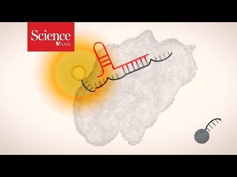 Science explains: CRISPR diagnostics