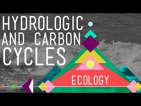 The Hydrologic and Carbon Cycles: Always Recycle! - Crash Course Ecology