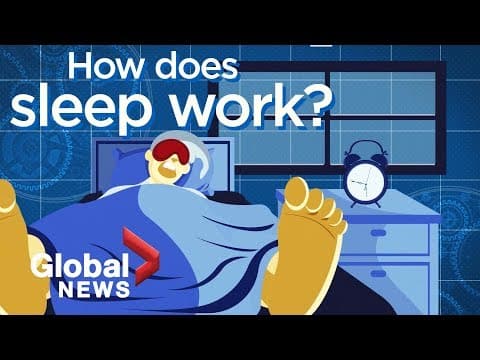 How sleep works: The reasons why we can't live without it