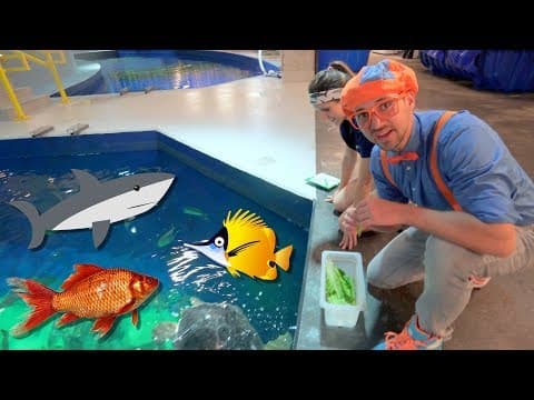 Blippi visits the aquarium - educational fish and animals for kids and toddlers