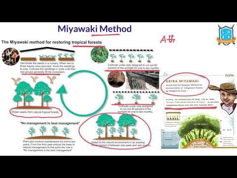 What is Miyawaki Method? || Miyawaki Method అంటే ఏమిటి?