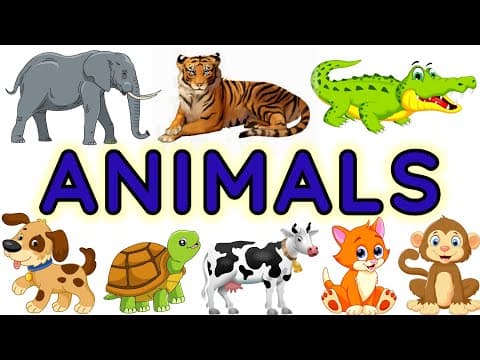 Animals | Animals for kids | Animals name | Home based school Animals name in English