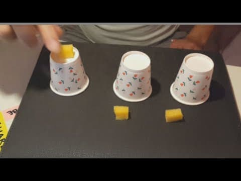5 Magic Tricks You Didn't Know You COULD DO!