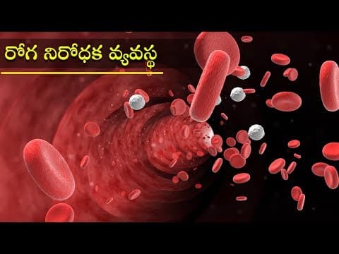 మానవ రోగనిరోధక వ్యవస్థ | Human Immune System | Human Health and Disease