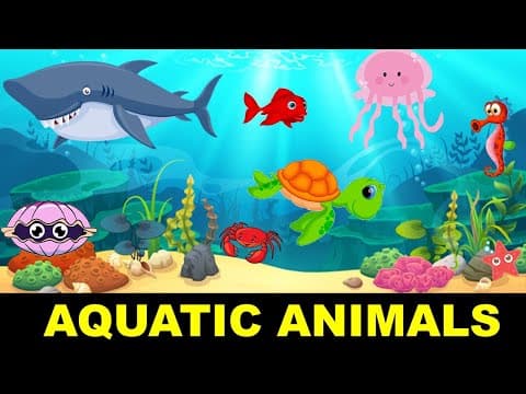 Aquatic Animals - Water animals - Sea Animals