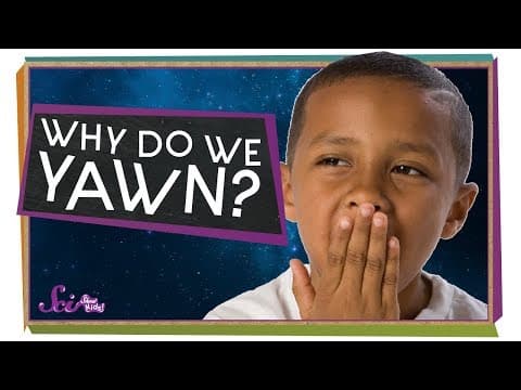 Why do we yawn?