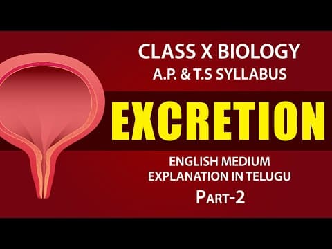 Excretion 2 | Human excretory system Explanation in telugu
