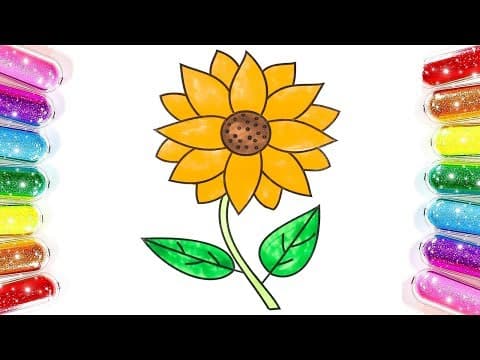 Sunflower coloring and drawing - flower coloring pages for kids - children and toddlers