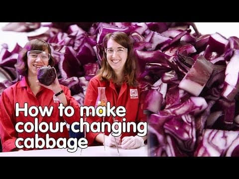 How to make colour-changing cabbage | Do Try This At Home | We The Curious