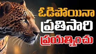 ఎక్కడ ఓడిపోయావో అక్కడే తిరిగి ప్రయత్నించు | Million Dollar Words