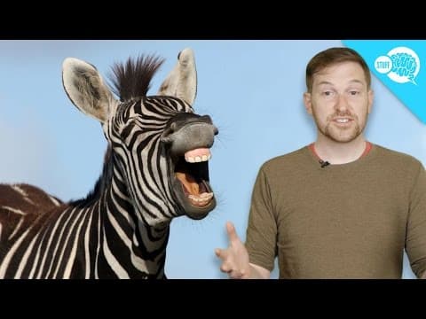 Do Animals Laugh? - YouTube